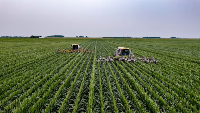 Photo autonomous agriculture